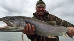 Lake Trout in Lake Ontario